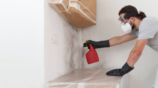 Professional Bathroom Mold Removal technician working in Winterville, GA